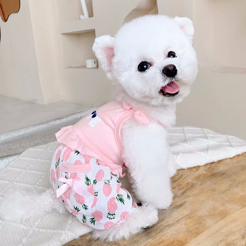 Sød sommervest, heldragt til små mellemstore hunde, pink blå, fransk bulldog, yorkshire terrier, kæledyrstøj med kølende bukser xxxl