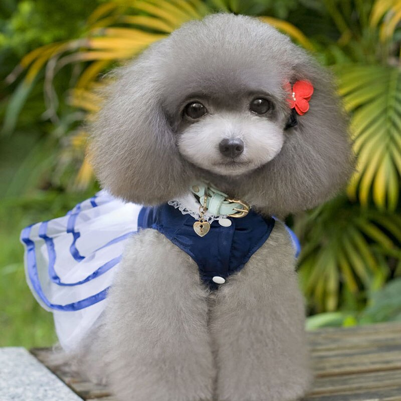 Jupe princesse pour chien, vêtement pour animaux de compagnie, rouge uni, avec nœud ruban en Polyester, robes chics pour filles, printemps/été