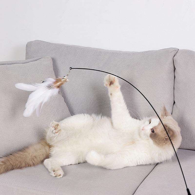 Ventosa, Teaser Stick, resistente à mordida, cabeça de substituição, Pet Supplies, Brinquedos interativos para gatos, resistente à mordida