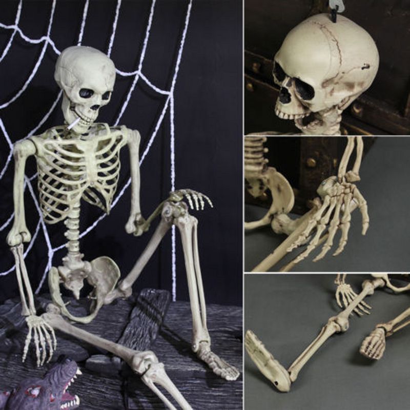 Full Size Human Skeleton Halloween Party Decoration Poseable Skull Lifelike Human Body Model Party Festival Decorations Props