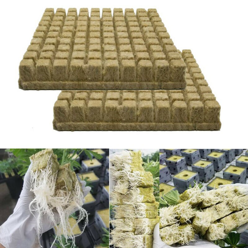 Grodan 25mm SBS Rockwool Sheet Block Propagation Grow Cubes Tray Cloning Seed Raising Hydroponics 49/98 Plugs UK