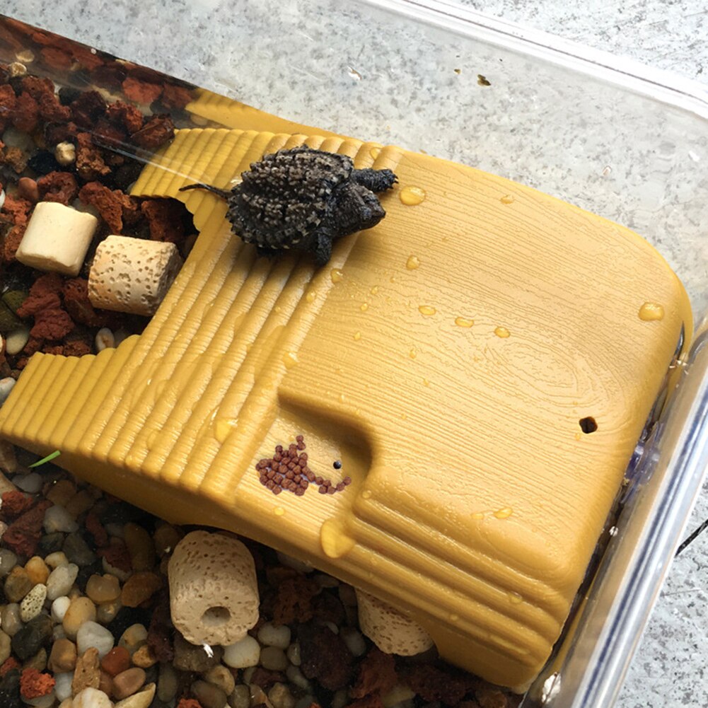 Aquarium Turtle Platform Aquarium Amphibian Aquatics Climbing Staircase Floating Platform Aquarium Fish Tank Decorations