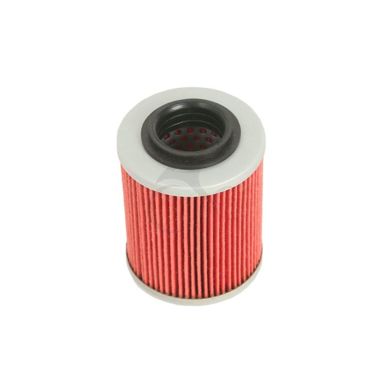 Motorfiets Olie Filters Voor Can-Am Bombardier DS650 Commander Renegade Outlander 400 500 650 800 Can-Am SSV1000 commander 1000