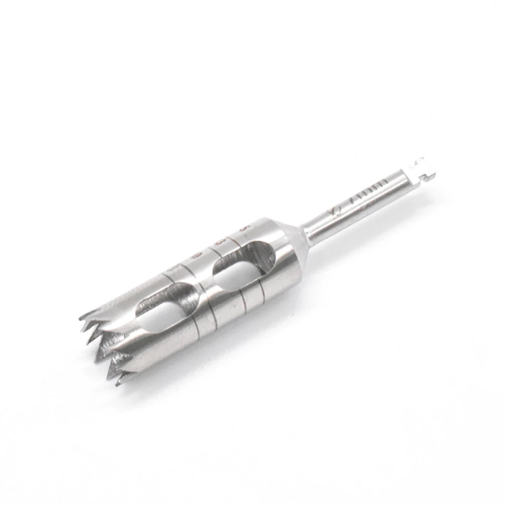 Foret à trépan osseux pour Implant dentaire, fraise en acier inoxydable, outils de plantation de dentisterie, accessoires d'instruments pour dentistes, 1 pièces: Argent