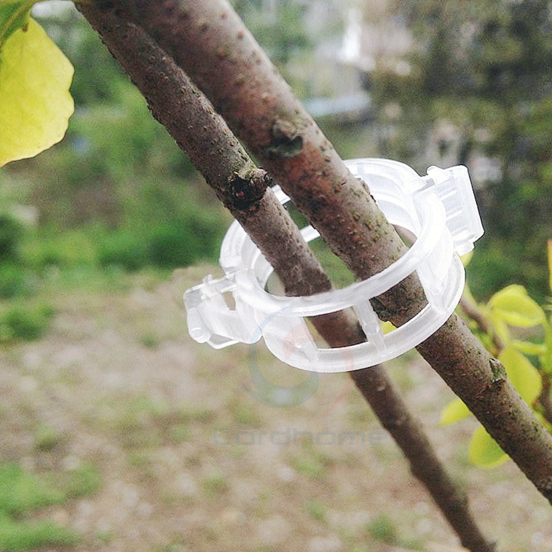 50 Pcs Tomaat Veggie Tuin Plant Ondersteuning Clips Voor Latwerk Twine Kas Invernadero