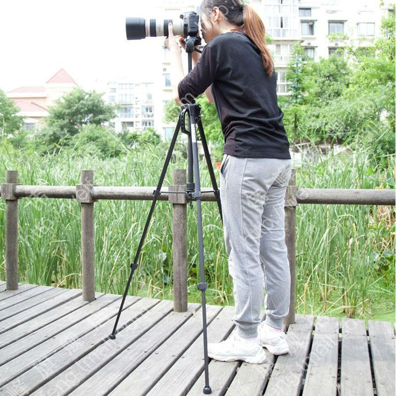 Weifeng Weifeng WF3540 3-way Head Aluminium Alloy Tripod L... – Grandado