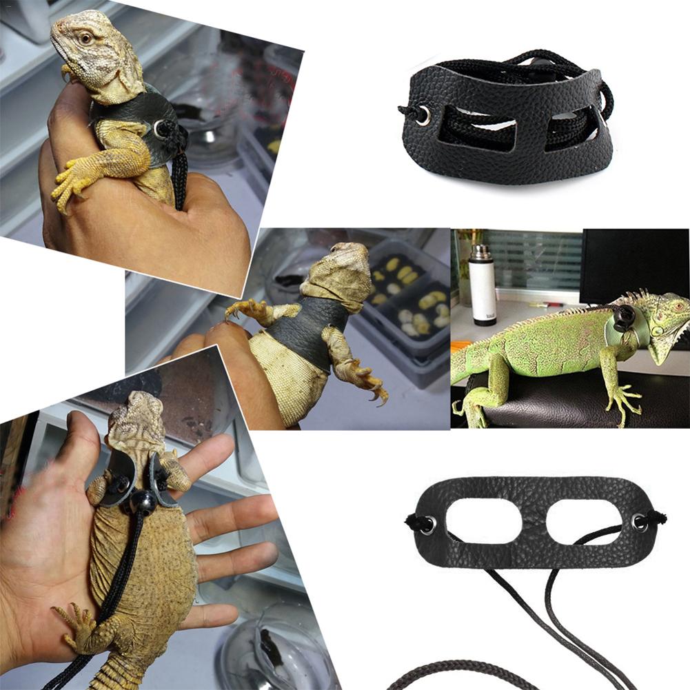 Harnais en cuir réglable pour petit animal de compagnie, avec col en laisse, pour transport en plein air, corde de Traction