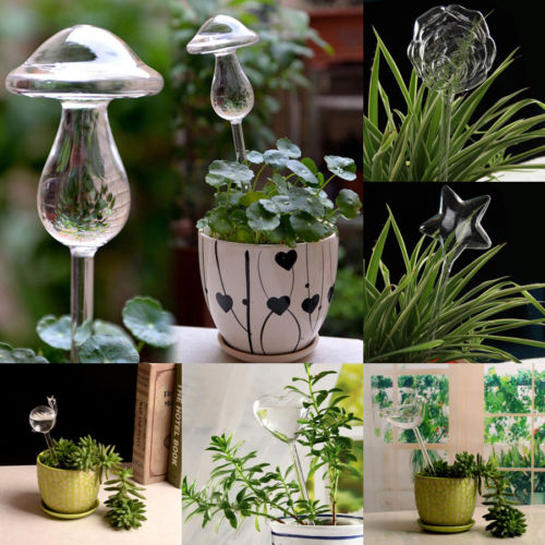 Alimentador automático de agua para plantas y flores, dispositivos de autorriego, alimentador de agua de vidrio transparente, forma de pájaro, 6 formas