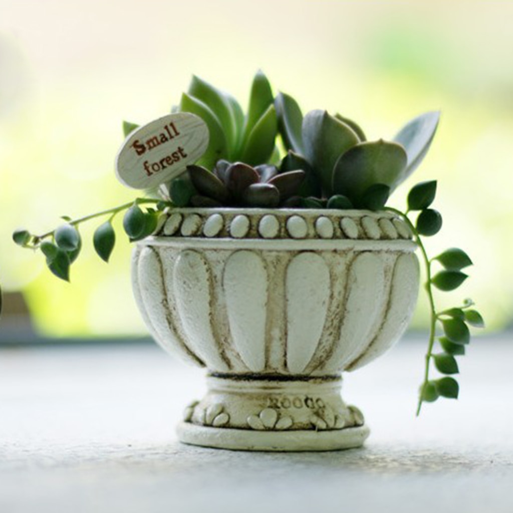 Vintage stil harpiks saftig planter potte kaktus planter boks fairy hage dekor diy hjemme desktop blomsterpotte