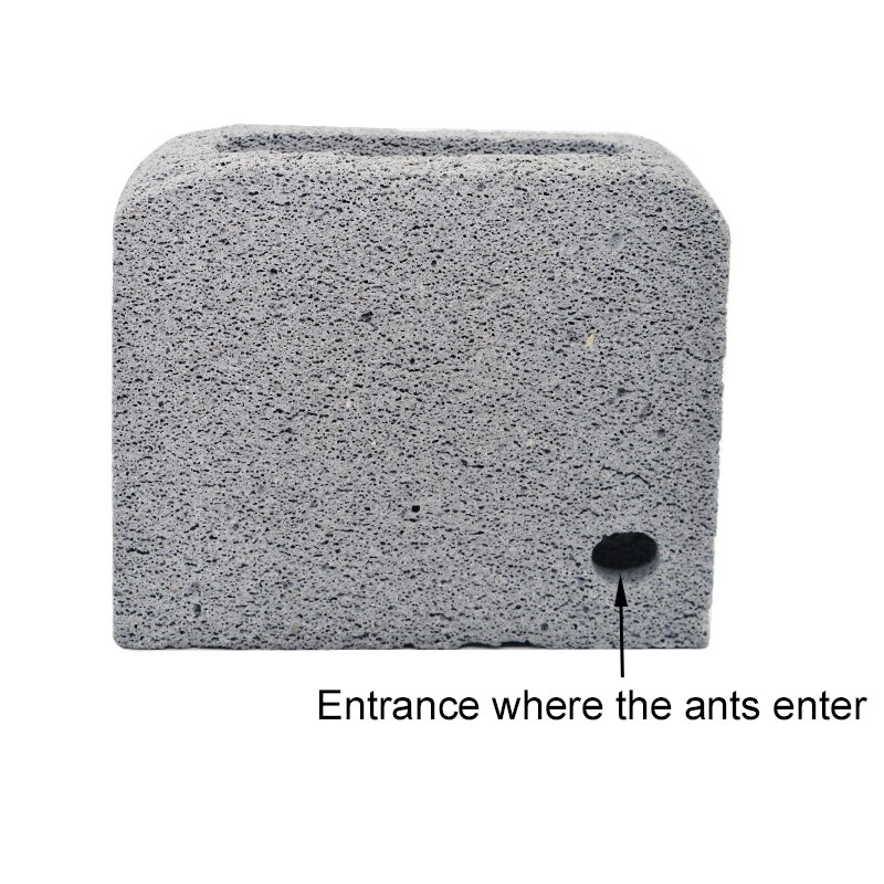 Fourmilière en acrylique pour fourmis, nid en béton respirant et hydratant avec zone d'alimentation, fourmilière, atelier pour animaux de compagnie, 26x15x15.5cm