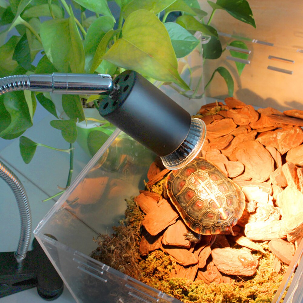 Reptiel Uvb Lamp Snake Warmte Lamp Reptile Light Stand Snake Hagedis Backlight Schildpad Koesteren Uv Verwarming Lamp Kit Schildpadden Licht