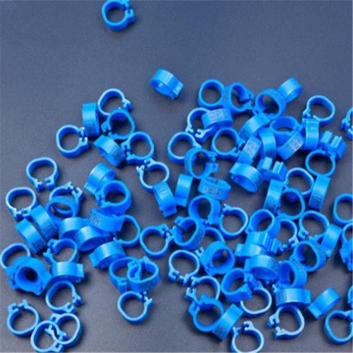 100Pcs Vogel Ringen Been Bands Voor Duif Papegaai Gevogelte Clip Ringen Nummer 1-100: Dark Blue