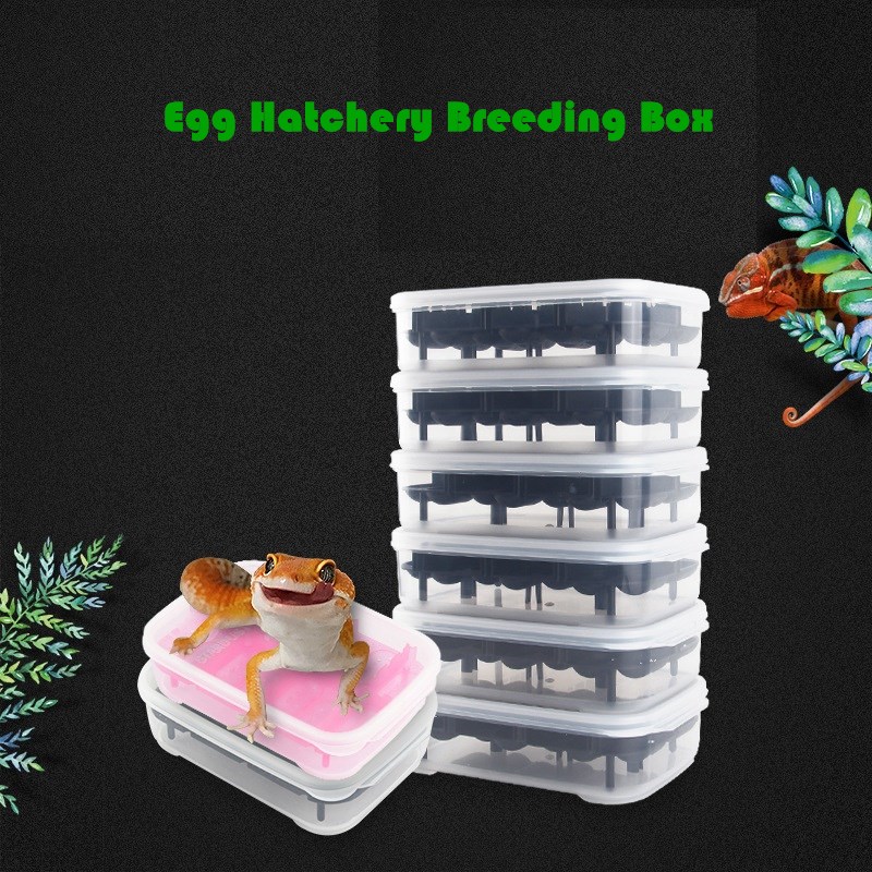 2Pcs Reptile Hatchery Incubator 14 Grids Snake Lizard Egg Tray Boxes Reptile Breeding Box Tortoise Hatching Eggs Device