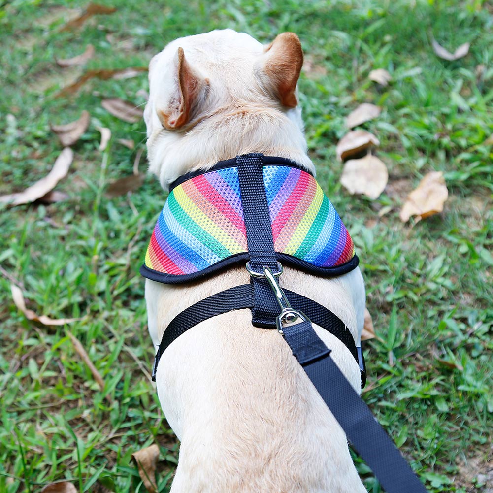 Hundetøj åndbar sele regnbue hvalp gåvest sele med snor tb