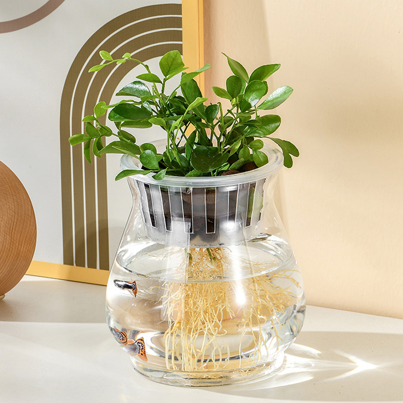 Mini Hydrokultur Blumentopf Aquarium transparent Kunststoff Soilless Blumentöpfe Selbst Bewässerung Pflanzer Topf Vase Hause Dekoration