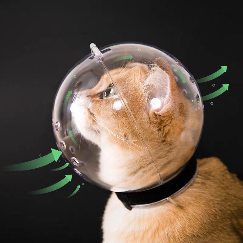 Cagoule de protection respirante Anti-morsure pour chat, masque de toilettage, muselière de bain pour petit chat