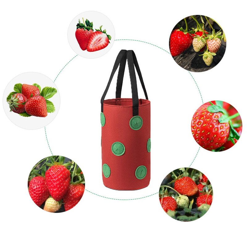 Bolsa de plantación de fresas, macetas de fieltro, bolsas de cultivo de tela, maceta colgante para cultivo de vegetales, Vertical, con bolsillos de visualización
