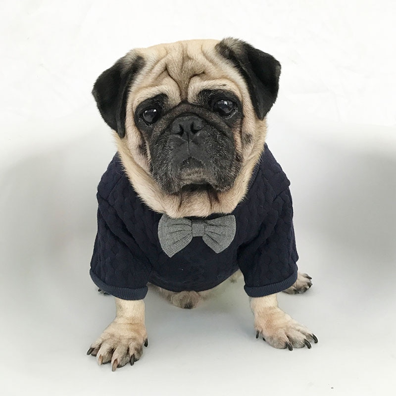 Hund frakke slips pet tøj til små mellemstore hunde fransk bulldog solid pet sweater mops kæledyr hunde tøj ropa perro