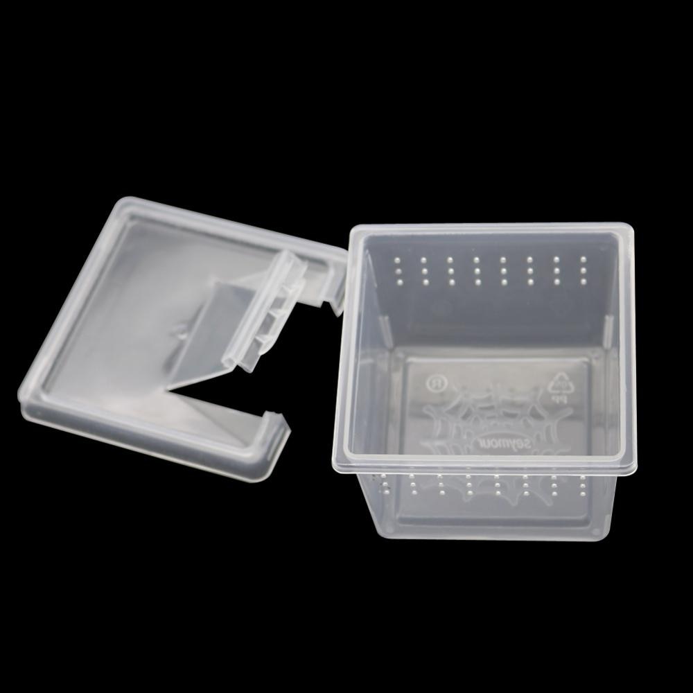 Caja de plástico transparente para criar reptiles, contenedor para cultivar insectos, araña Escorpión, 10 unidades