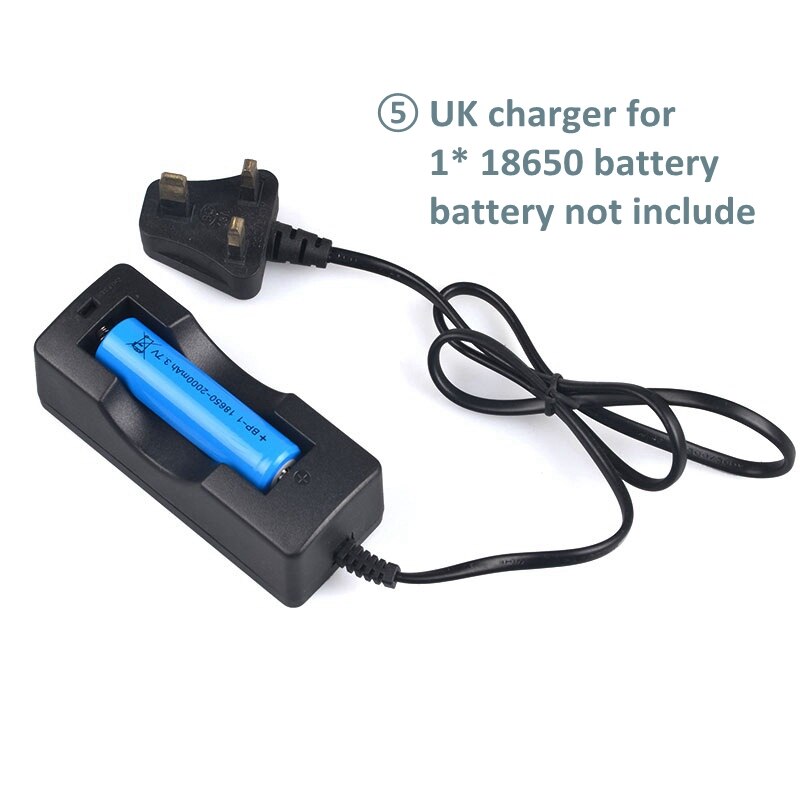 AU, EU, UK, US, adapter 18650 26650 14500 acculader 4.2v voor zaklamp: charger 5