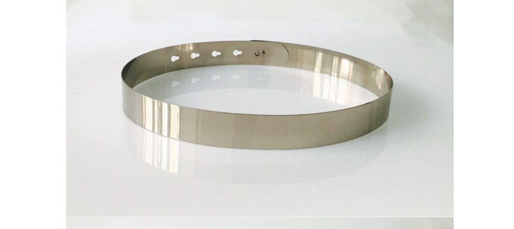 Cinturones de lentejuelas simples para mujer, cinturón ajustable de Metal brillante, de lujo Vintage, dorado y plateado,: Plata / Width 30 mm