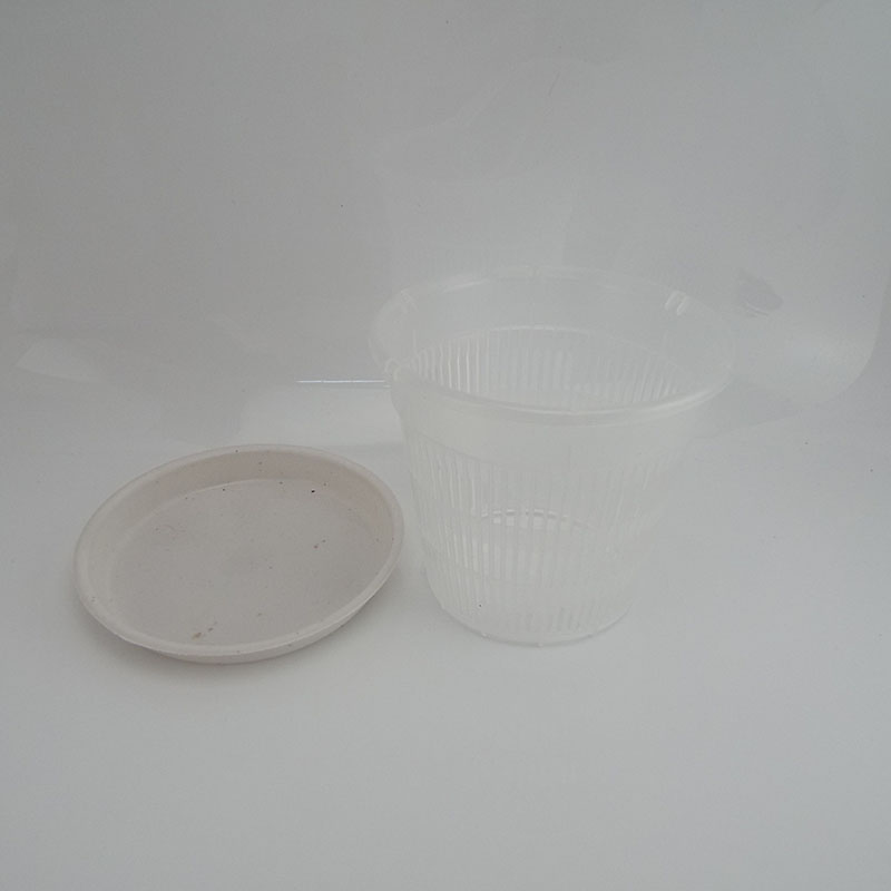 Macetas de plástico transparente para orquídeas, bandeja con agujeros, función de aire, contenedor de crecimiento de raíz, ranuras, Agujero colgante de pared, 5 piezas