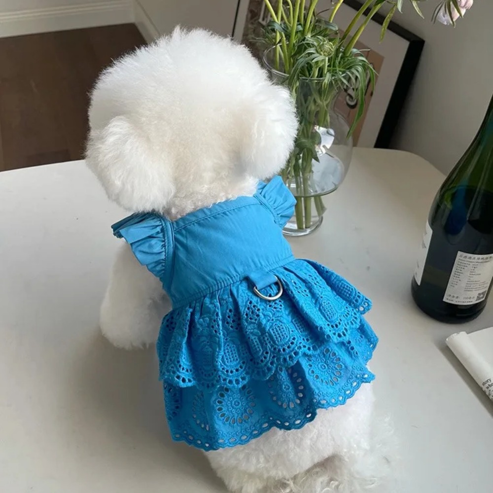Vestido de encaje con mangas voladoras para mascotas, ropa de tracción fina para perros pequeños, oso de peluche, gato, primavera y verano,
