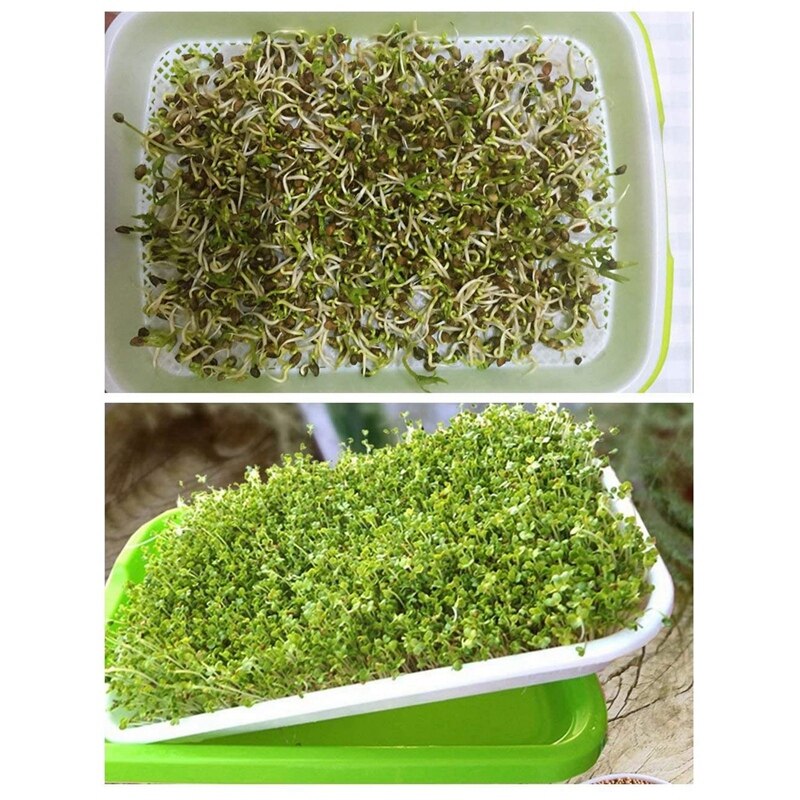 200 Sheets of Nursery Paper Sprout Vegetable Planting Paper 18 X 26.6cm, Suitable for Plant Germination Tray
