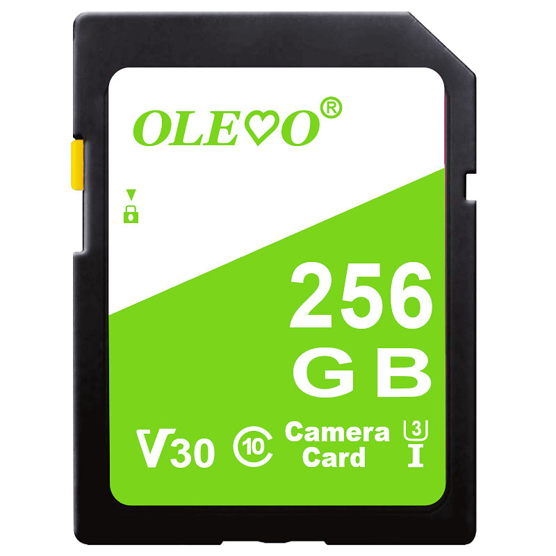 SD Memory Card 16GB 32GB 64GB 128GB 256GB 512GB C10 SD Card for Camera SRL: 256GB