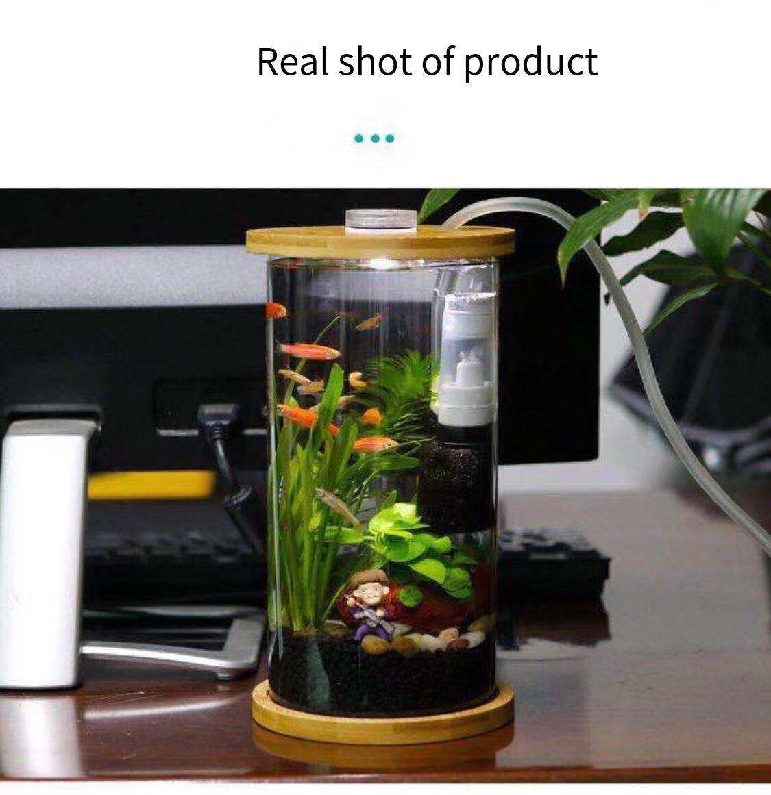 Mini acuario de hadas de agua, filtro de botella ecológico, aireador silencioso incorporado, accesorios de acuario de succión Fecal