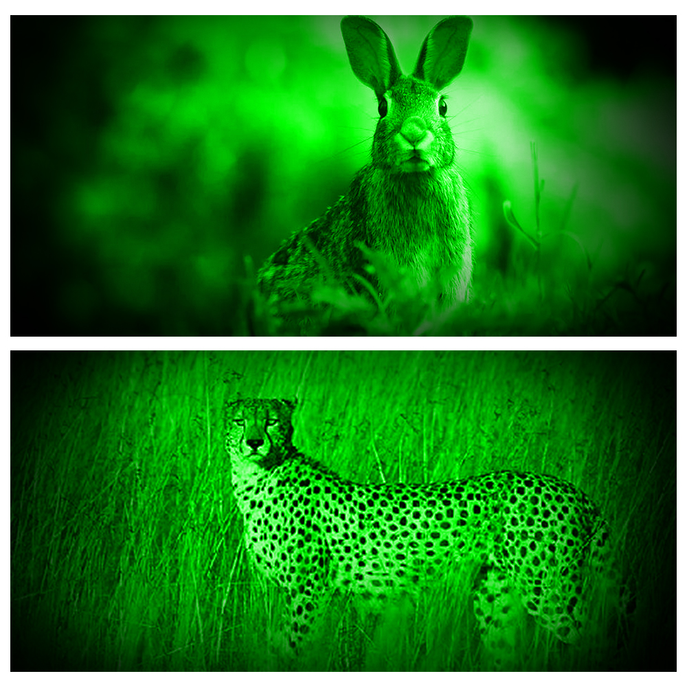 Hohe profession elle LED-Taschenlampe für die Jagd grünes Licht taktische Nacht Scout Licht Fisch Licht USB wiederauf ladbare wasserdichte Taschenlampe