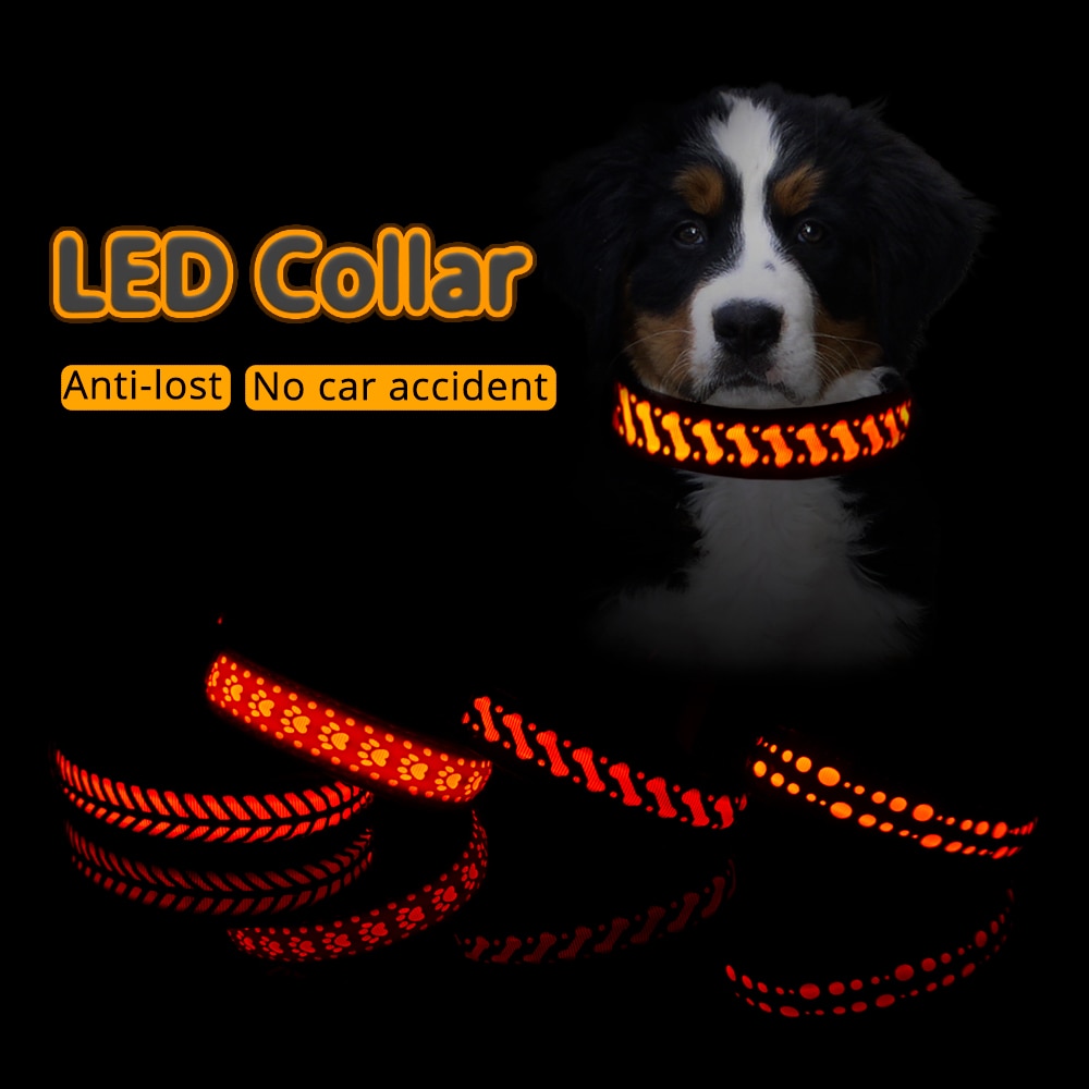 Självlysande mönster halsband för hundar halsband cool usb laddning led hund halsband anti-lost halsband roliga husdjur produkter