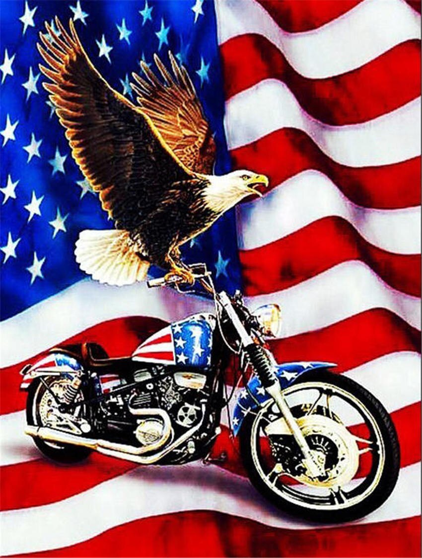 Diamond Schilderen Volledige Ronde Patriottisch Eagle 5D Diamant Schilderij Vol Plein DIY Diamant Borduurwerk Vol Muursticker Home Decor: 50x65cm Square