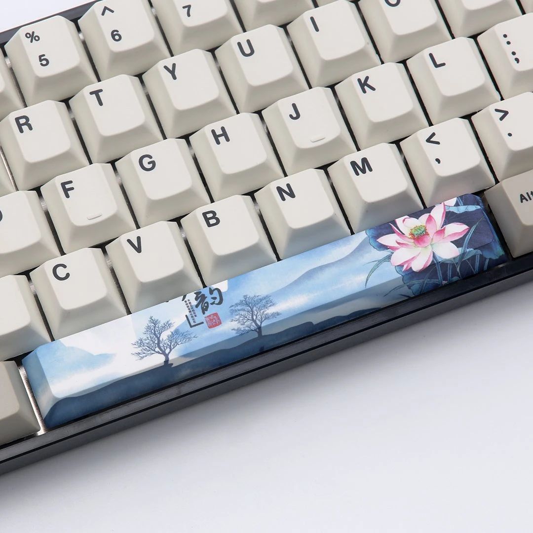 PBT Cherry Profile Dye-Sub Spacebar 6.25U Keycap Kit 11-21: Kit 12