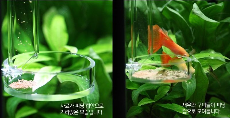 Red bee shrimp feeder long tube bottom fish arcylic aquarium fish marine coral reef tank