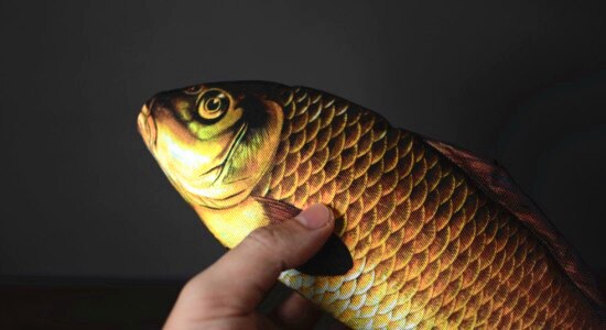 28cm Erscheinen Fisch Magie Tricks Bühne Magia Fisch Erscheinen Von Karte Fall Magie Mentalismus Illusion Gimmick Requisiten FISM