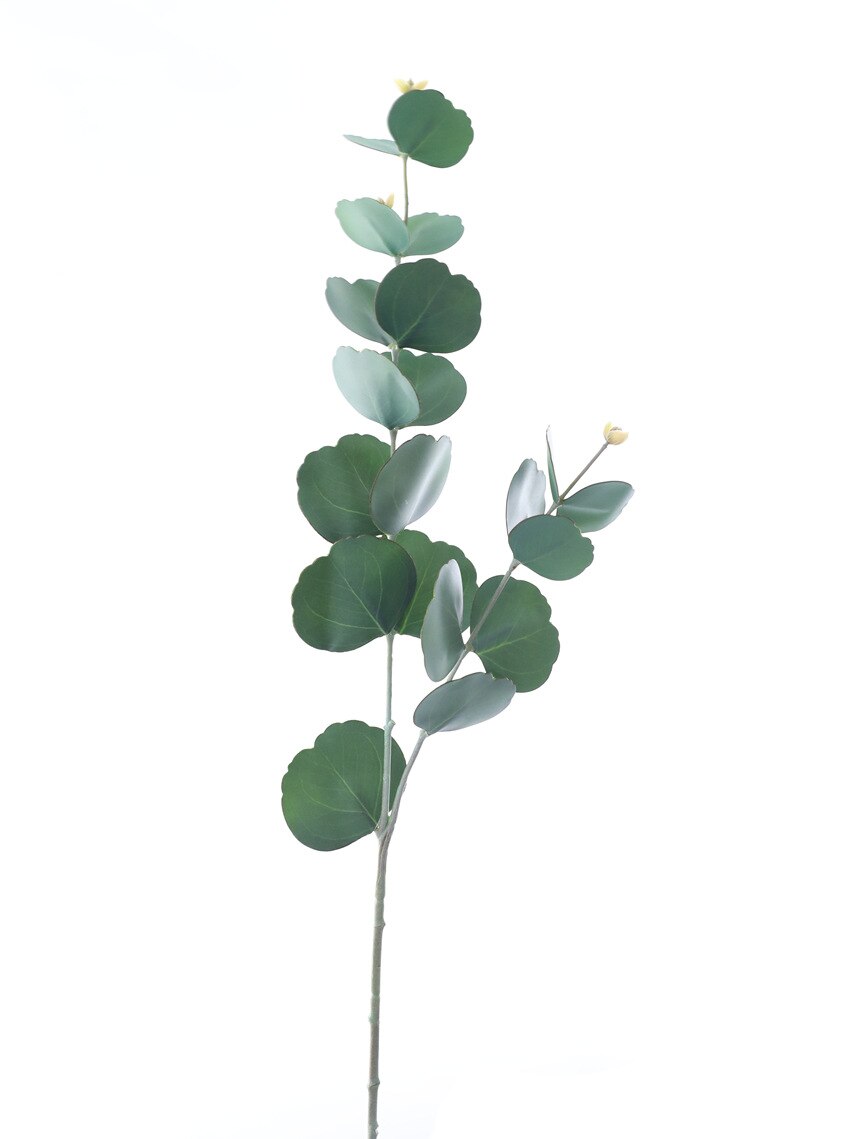 Luxe Real Touch Eucalyptus Boom Tak Kunstbloemen + Bladeren Faux Gebladerte Home Bruiloft Decoratie Nep Planten Greens: C