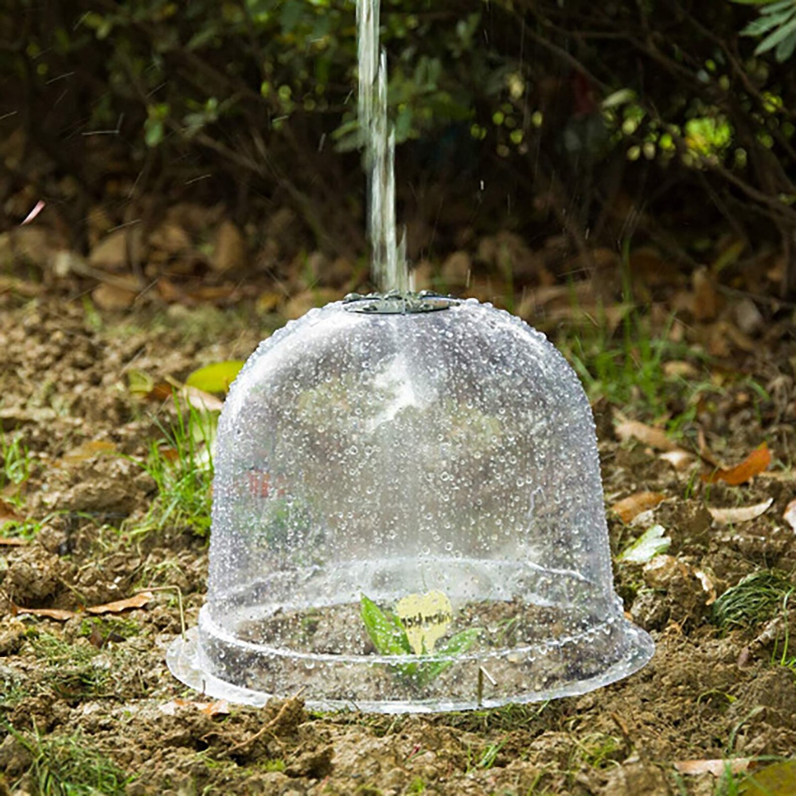40 #6 pièces jardin Cloche dôme plante Cloche plantes couvre pour jardin décor plante protecteur couverture en plastique pour couverture de Protection des plantes