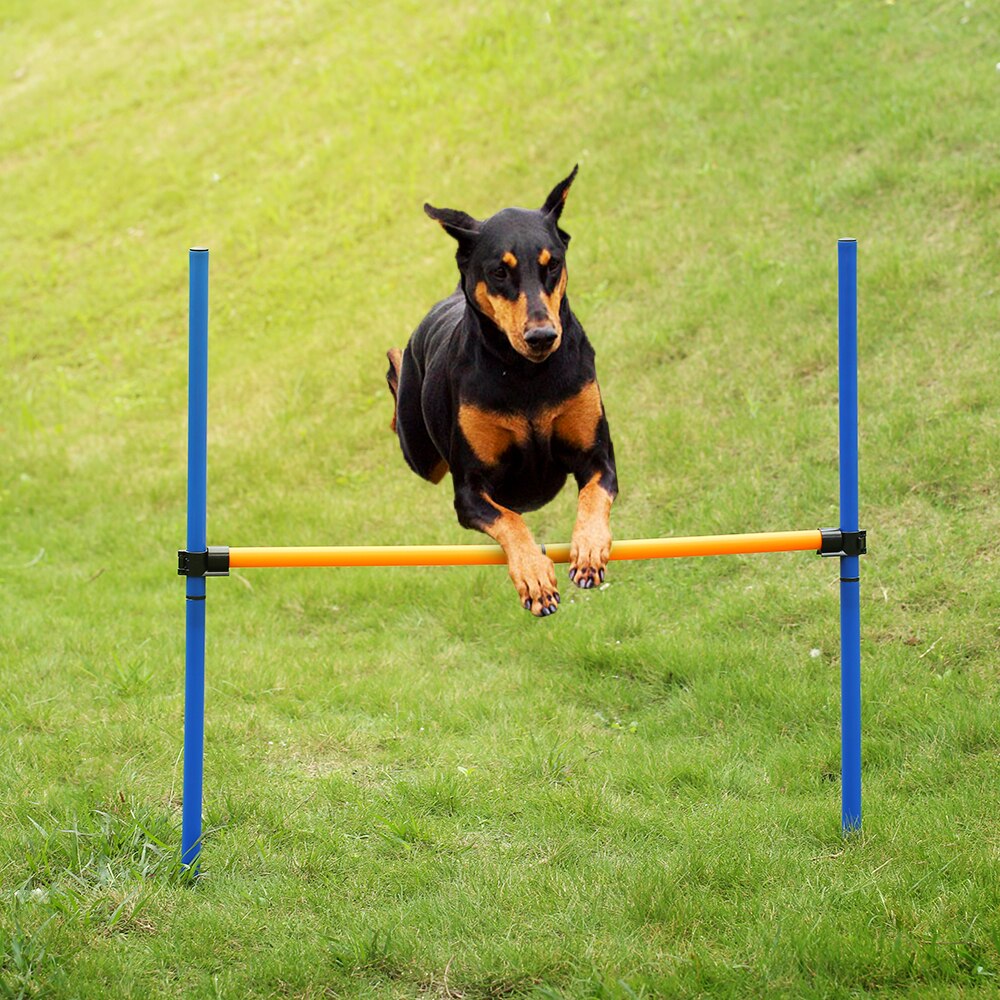 Outdoor Training Equipment Pet Dog Agility Sports Games Jump Hurdle Obedience Show Activity Exercise Pole with Case