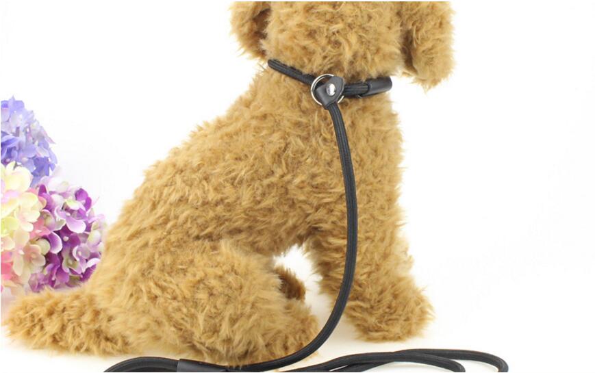 1.4 m Lopen Hondenriem Kleine en Middelgrote Hond Ronde Nylon Touw riemen Hond Keten Golden retrievers huskies Tractie Riem lock