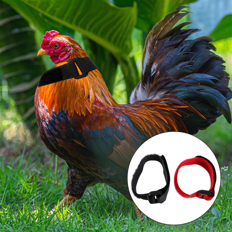 4pcs Rooster Anti-crowing Rooster Collar Anti-crowing Nylon Rooster Collar Poultry Supply