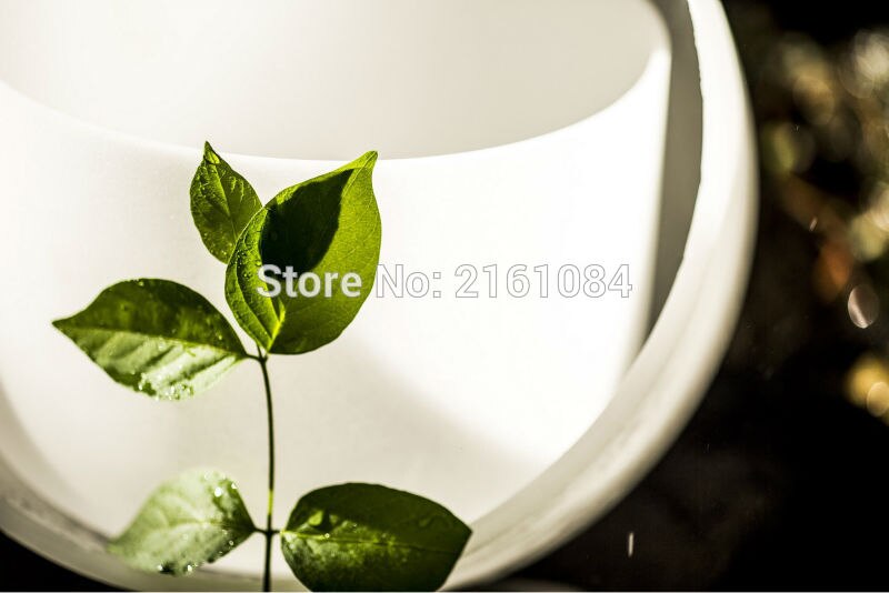 432 HZ 8" Note C/D/E/F/G/A/B Quartz Crystal Singing Bowls for Sound Therapy with one free suede and o ring