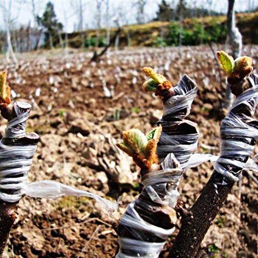 1 Roll Of Environmental Protection Garden Grafting Bandage Fruit Tree Seedling Bandage Pruning Shears Grafting Tape