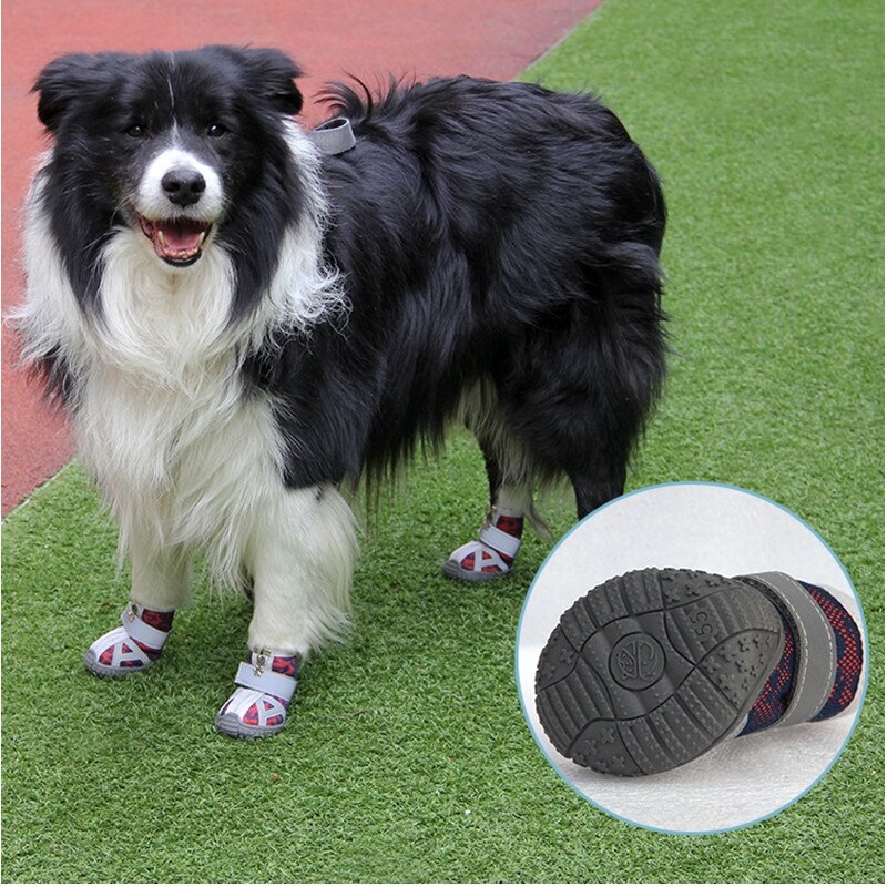 Chaussures en maille respirante pour animaux de compagnie, baskets d'extérieur antidérapantes pour chiens, petits, moyens et grands