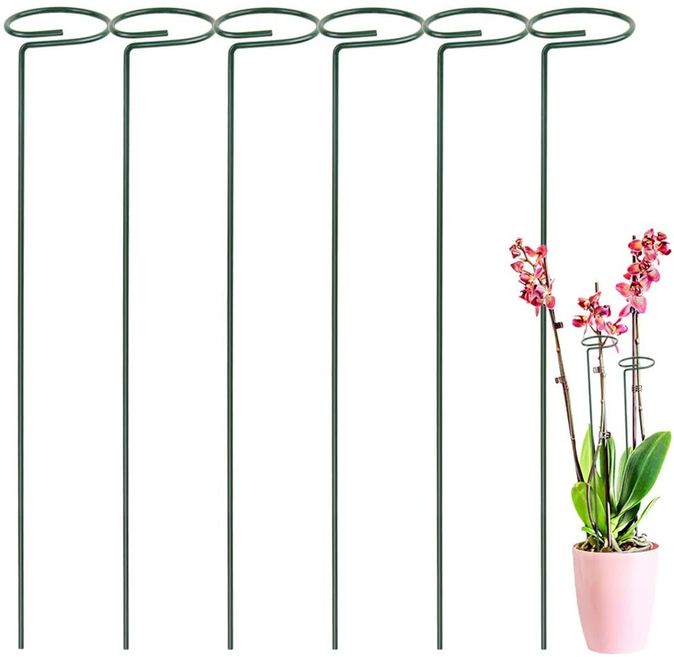 6 Pack Plant Ondersteuning Stakes, tuin Single Stem Ondersteuning Stake Plant Kooi Ondersteuning Ringen Voor Amaryllis Tomaten Orchidee Lelie Peonage