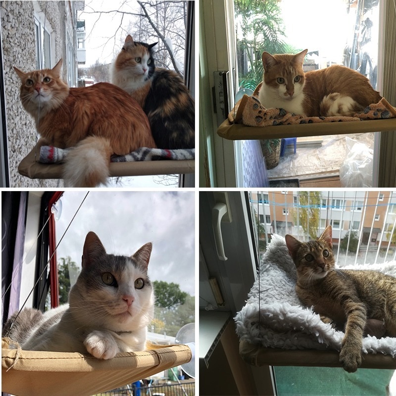Kattenraamhangmat - Ademend Oxford Stof - Veilig Bevestigd - Max 20kg Draagkracht