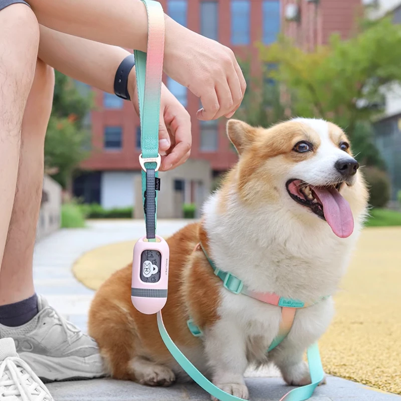 Draagbare kattenbak voor buiten, verdikte kattenbak, afvalzak met gesp, ophangkoord, kattenbakvulling, gemakkelijk af te scheuren, huisdierproducten