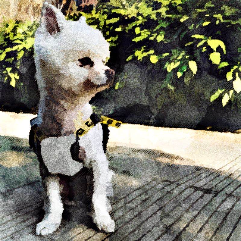 Dog Clothes for Small Dogs Jumpsuit for French Bulldog Chihuahua Overalls Pug Puppy Rompers Pet Clothing PC1173