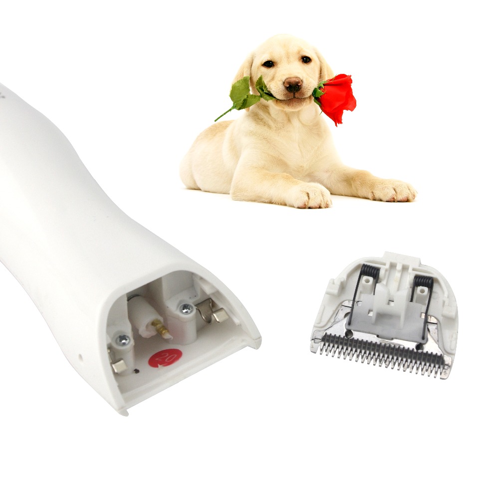 Easy Pet Haarentferner – Praktischer Helfer Für Katzentürme, Teppiche & Hundebetten