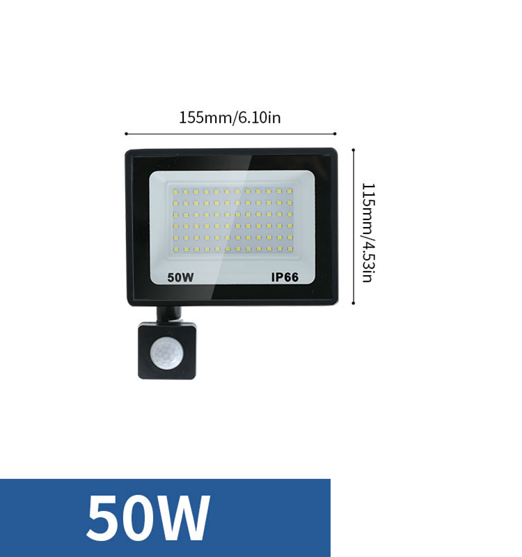 Led Floodlight 50W 100W AC220V Reflector Flood Light Waterproof Ip66 Garden Spotlight Pir Motion Sensor Wall Outdoor Lighting: black / RGB / 5600K